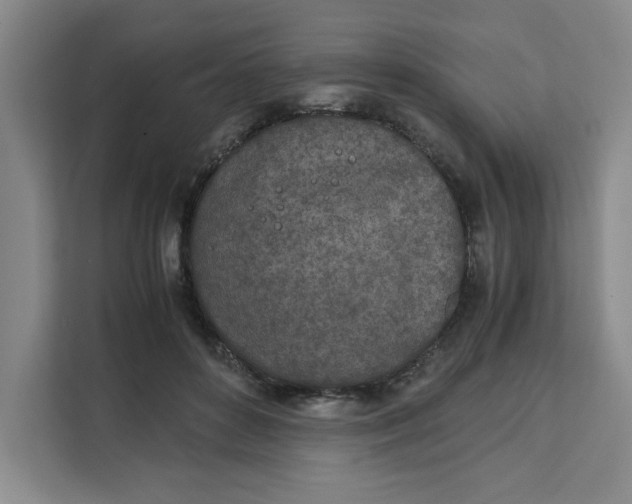 X0000111150504200907141344