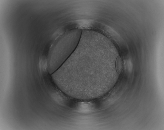 X0000111150508200907141344