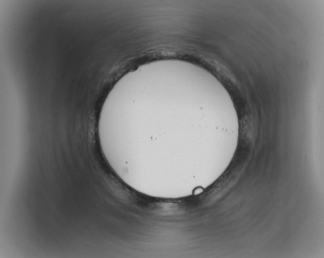 X0000111150509200907141344