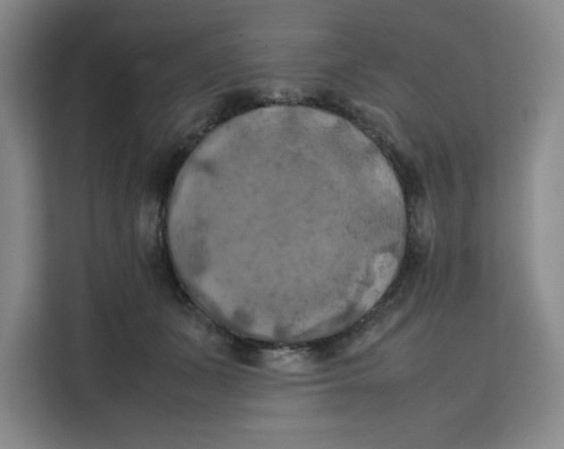 X0000111150511200907141344