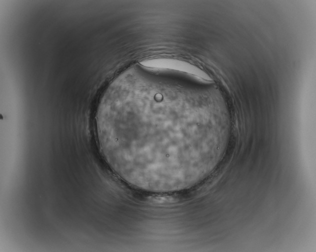 X0000111150512200907141344