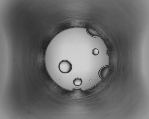 X0000111150513200907141344