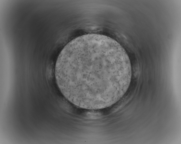 X0000111150515200907141344