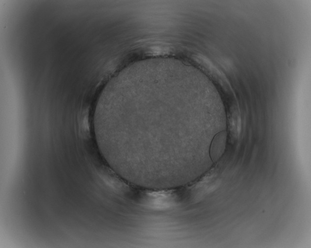 X0000111150516200907141344