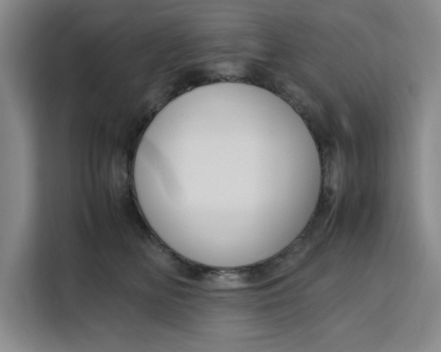 X0000111150518200907141344