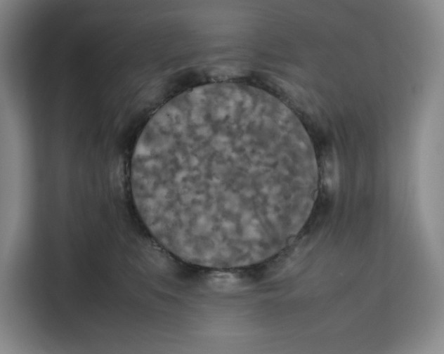 X0000111150519200907141344