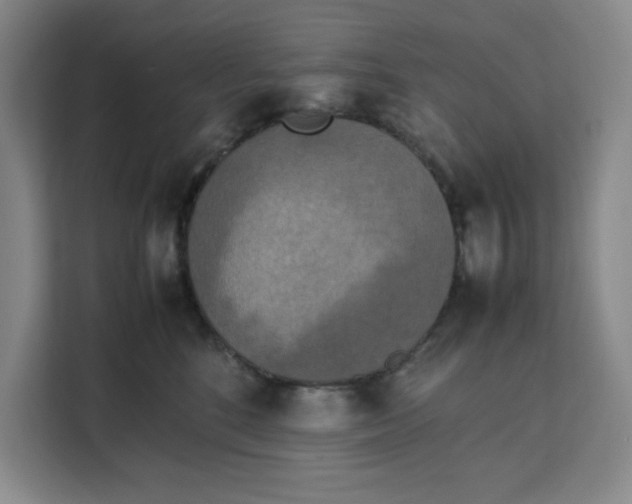 X0000111150520200907141344