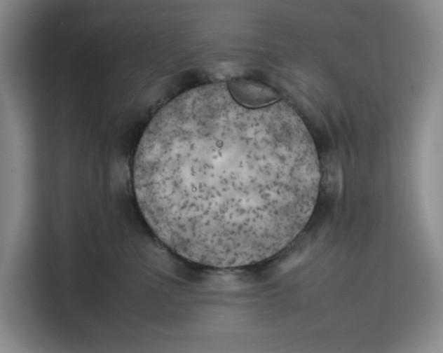 X0000111150523200907141344