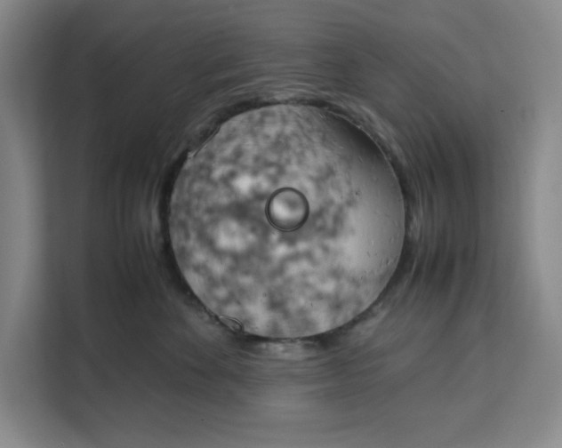 X0000111150524200907141344
