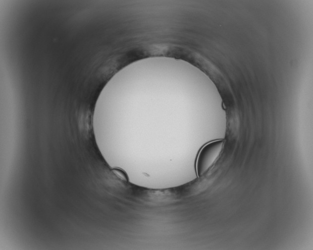 X0000111150525200907141344