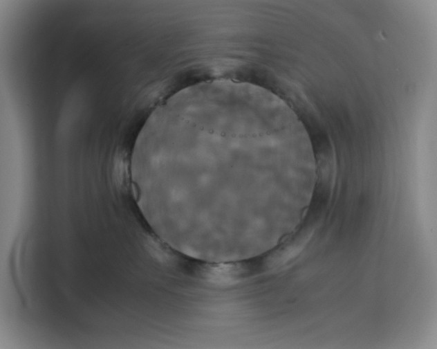 X0000111150527200907141344