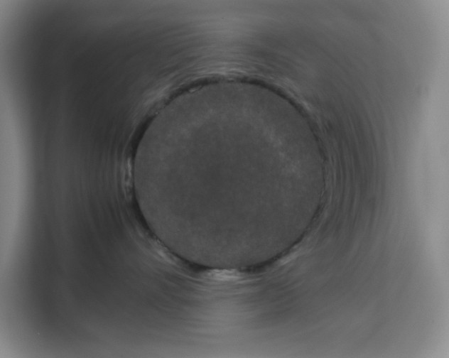 X0000111150528200907141344
