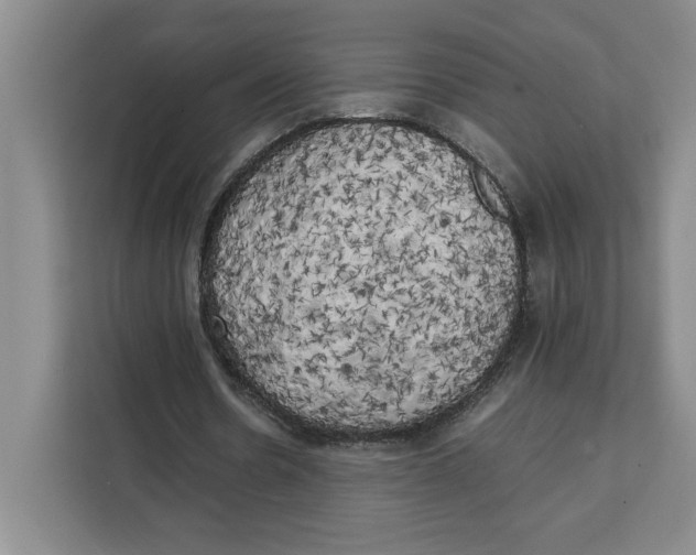 X0000111150530200907141343