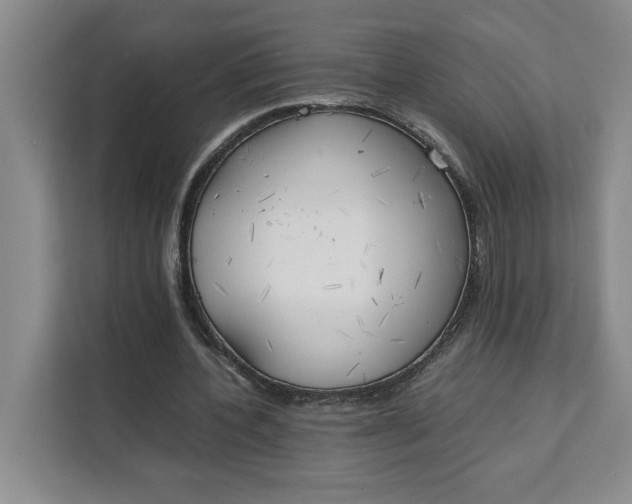 X0000111150532200907141343