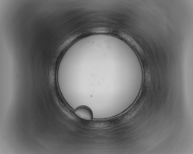 X0000111150533200907141343