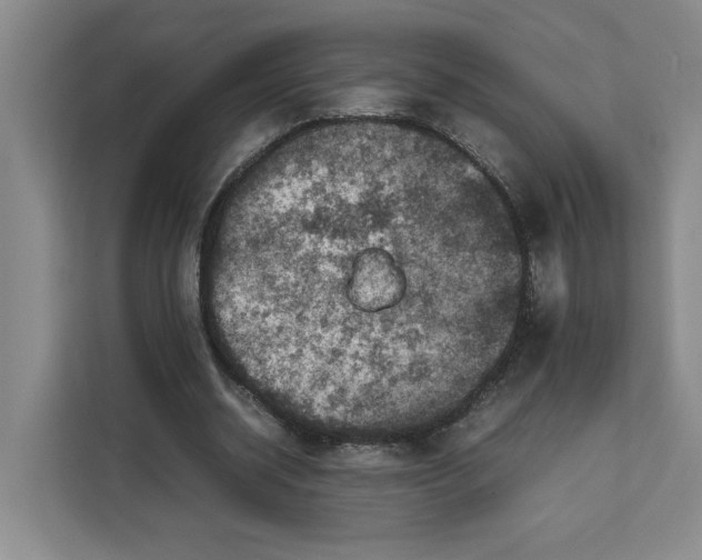 X0000111150534200907141343