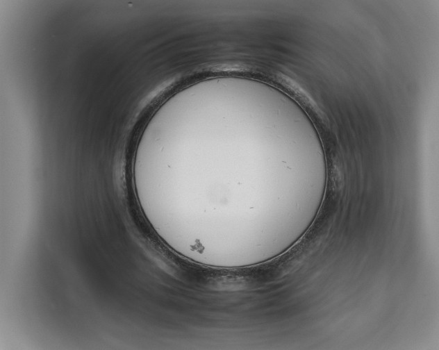 X0000111150535200907141343