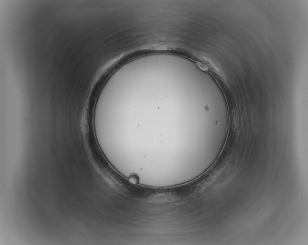 X0000111150536200907141343