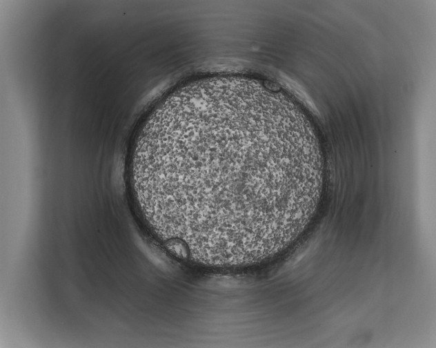 X0000111150538200907141343