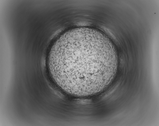 X0000111150539200907141343