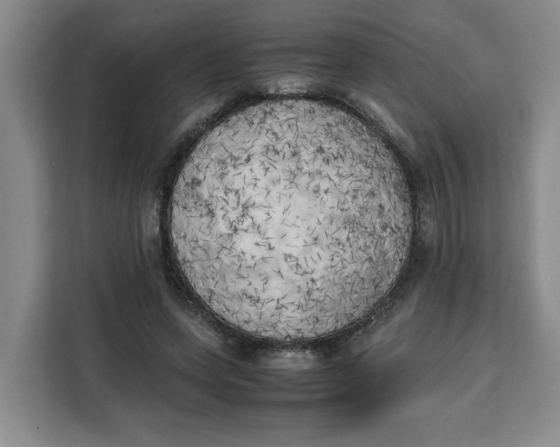 X0000111150543200907141343