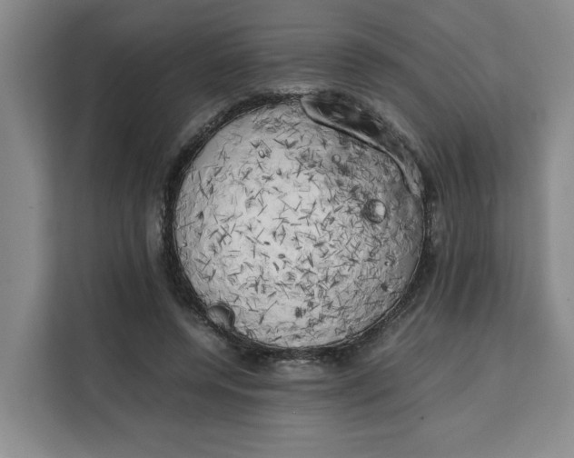 X0000111150544200907141343