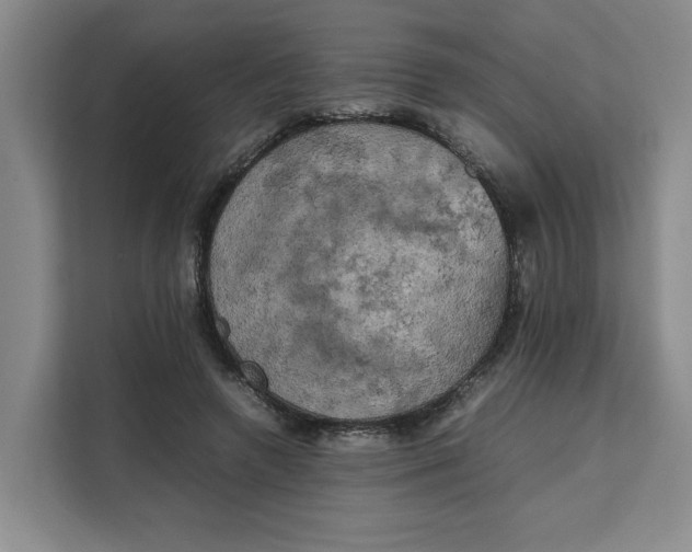 X0000111150546200907141343