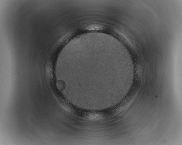 X0000111150547200907141343