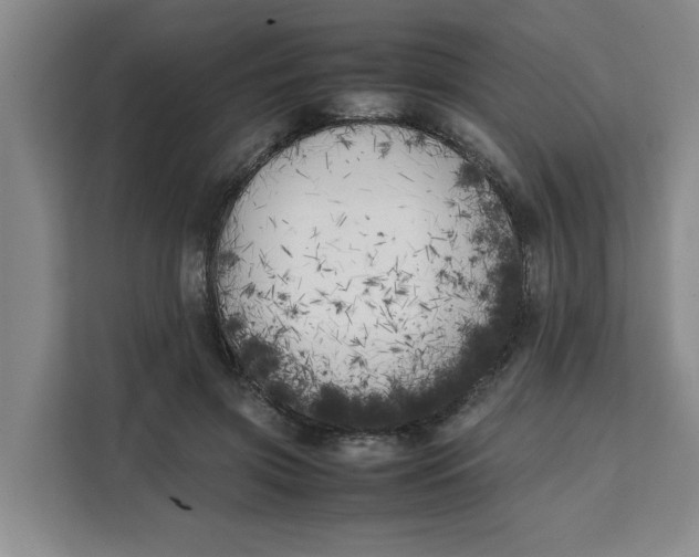 X0000111150549200907141343