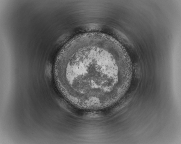 X0000111150550200907141343