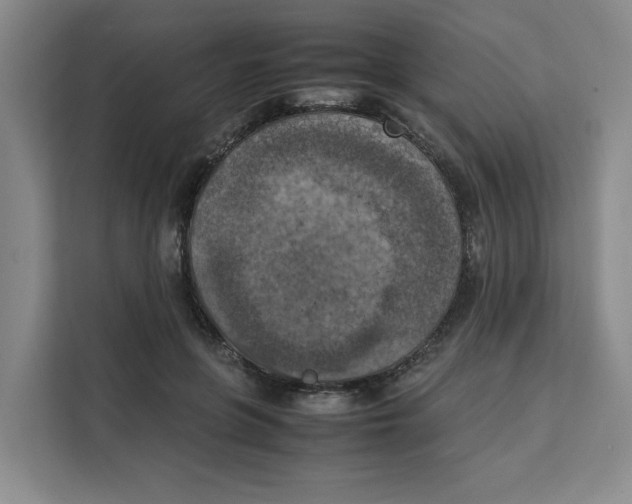 X0000111150551200907141343
