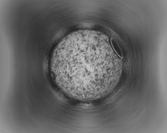 X0000111150552200907141343