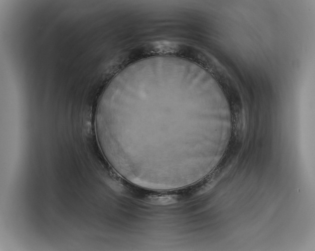 X0000111150553200907141343
