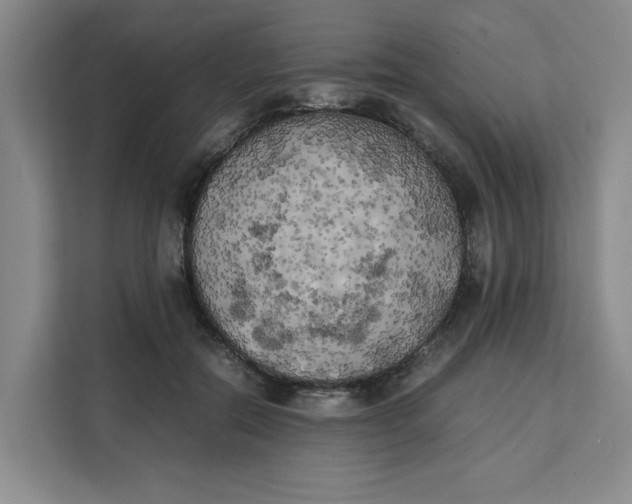 X0000111150554200907141343