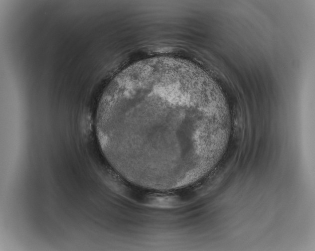 X0000111150555200907141343