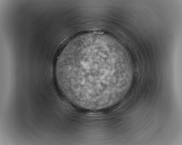 X0000111150556200907141343