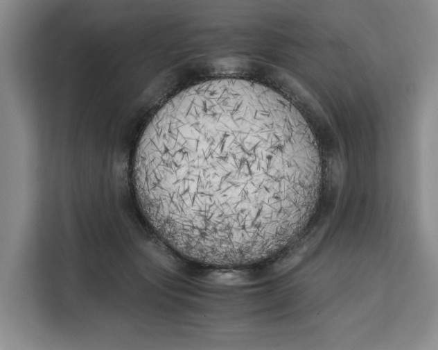 X0000111150557200907141343