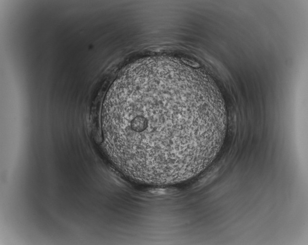 X0000111150558200907141343