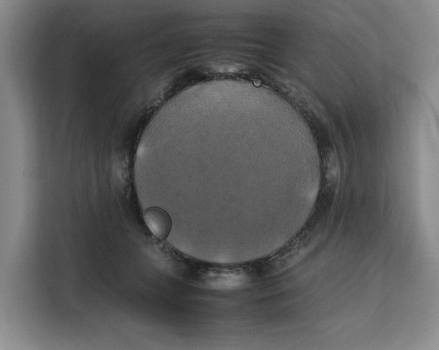 X0000111150559200907141343