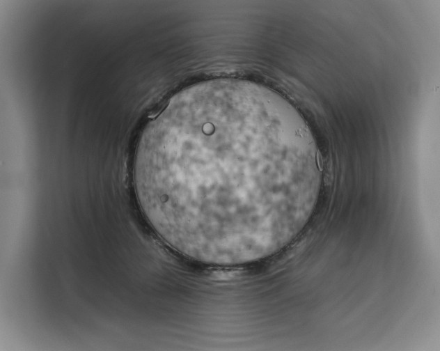 X0000111150560200907141343