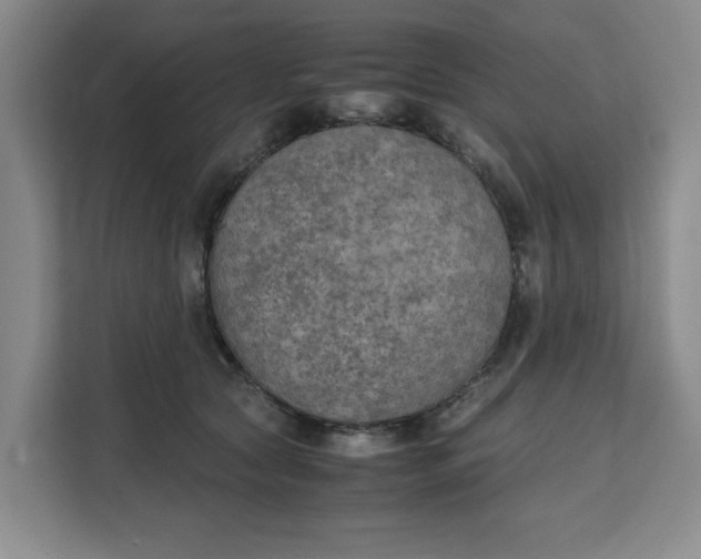 X0000111150561200907141343