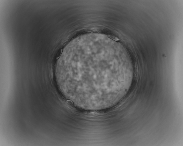 X0000111150562200907141343