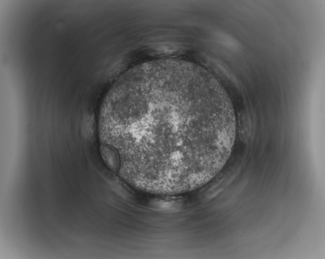 X0000111150563200907141344