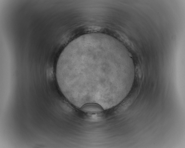 X0000111150564200907141344