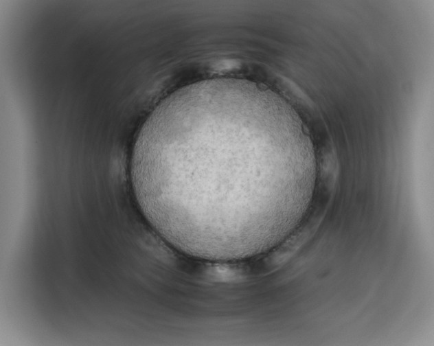 X0000111150565200907141344