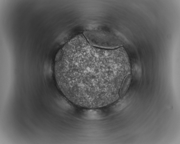 X0000111150566200907141344