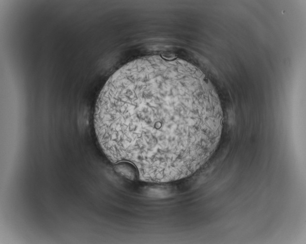 X0000111150567200907141344