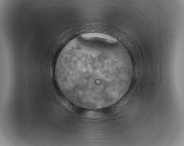 X0000111150568200907141344