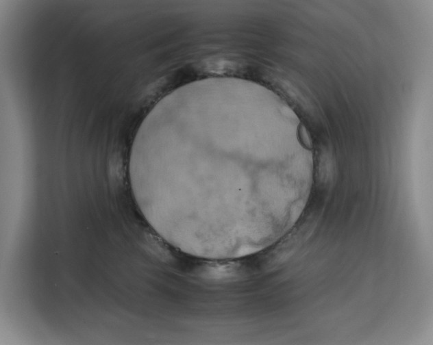 X0000111150569200907141344