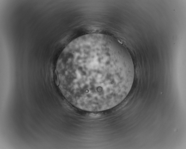 X0000111150570200907141344